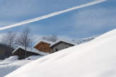 20080119_125032 Canto.jpg